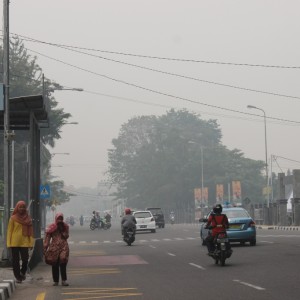sejak kabut asap melanda sumatera barat sejak sebulan yang lalu, kamis pagi kabut asap dikota bengkoang ini sudah berada dilevel sangat berbahaya, menurut kepala BMKG sumbar