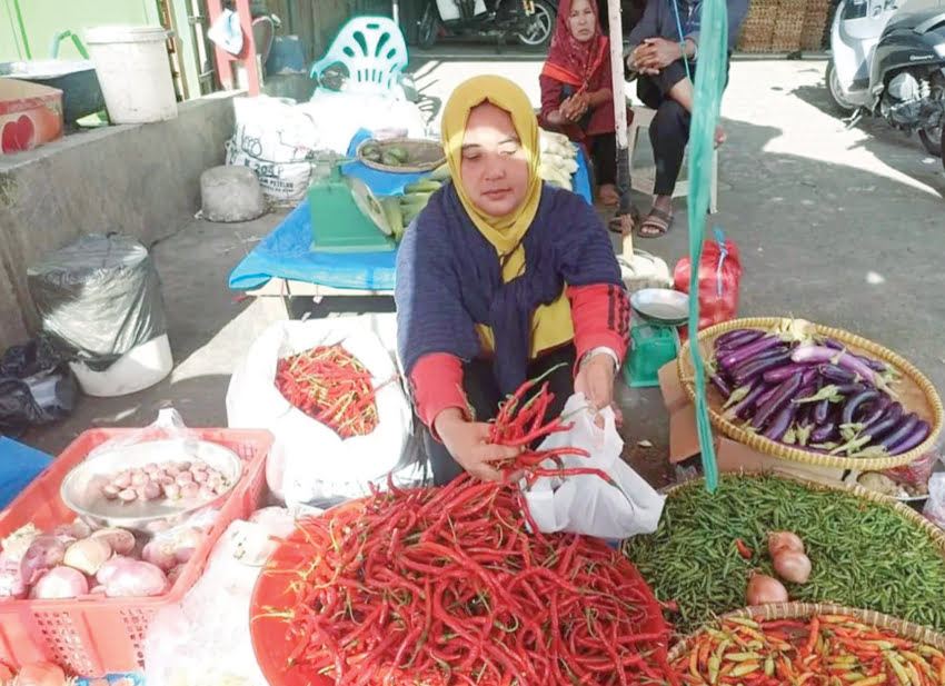 Usai Lebaran Idul Fitri Harga Cabai Merah Dan Hijau Turun Cabai Rawit