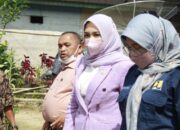 Tidak Benar Pembangunan Jalan Tol Padang-Pekanbaru Dihentikan, Athari : Ditangguhkan Sementara Karena Refocusing Anggaran