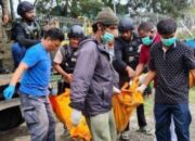 Sebelumnya KKB Bantai Dua Pekerja, 4 Anggota Brimob Terkena Peluru