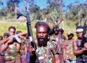 TNI-Polri Bergerak, Komandan Operasi KKB di Papua Tewas