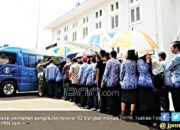 Mengawali 2022, Ribuan Honorer Teknis Administrasi Diberhentikan
