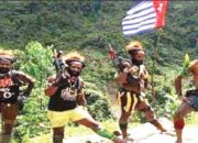 KKB Kibarkan Bendera Bintang Kejora, Bang Bobby Bereaksi