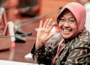 Risma Lebih Diunggulkan Jadi Kepala Otorita IKN Nusantara