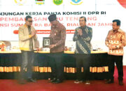 Kritik DPR RI Terkait Kebijakan Kemenpan-RB, Pemerintah harus Pastikan Nasib Honorer Sebelum 2023