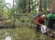 Tingkatkan Ekonomi Masyarakat, Suardi Darma: Manfaatkan Lahan Kosong untuk Kolam Ikan, Pertanian dan Perkebunan