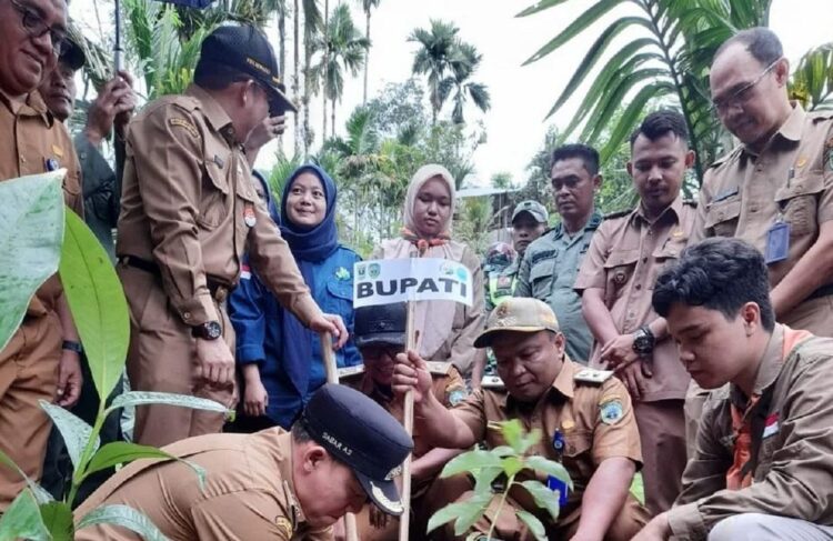 PENANAMAN POHON— Bupati Pasaman Sabar AS bersama Dinas Kehutanan Provinsi Sumbar menanam pohon di lokasi terdampak banjir Rimbo Aro, Nagari Tanjuang Baringin, Kecamatan Lubuk Sikaping.