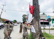 Terpasang di Pohon dan Tiang Listrik, Satpol PP Bongkar APK Caleg