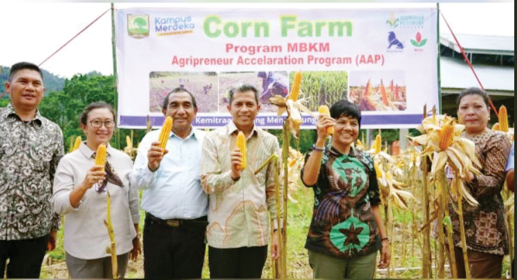 PANEN PERDANA— Fakultas Peternakan (Faterna) Unand sukses melakukan panen perdana jagung pakan Merdeka Belajar Agripreneur Accelaration Program (AAP) 1. Panen ini merupakan yang pertama di Indonesia dalam program magang AAP bekerja sama dengan Charoen Pokphand dan BISI.