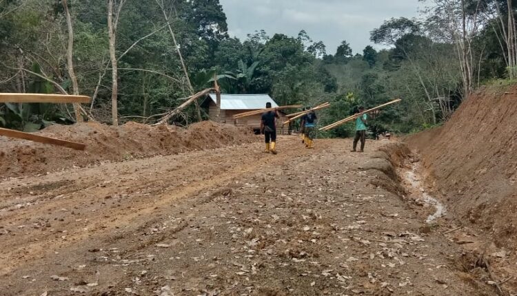 PIKUL—Pengangkutan kayu dilakukan dengan cara memikul karna kondisi mobil pengangkut kayu balok terjadi kerusakan.