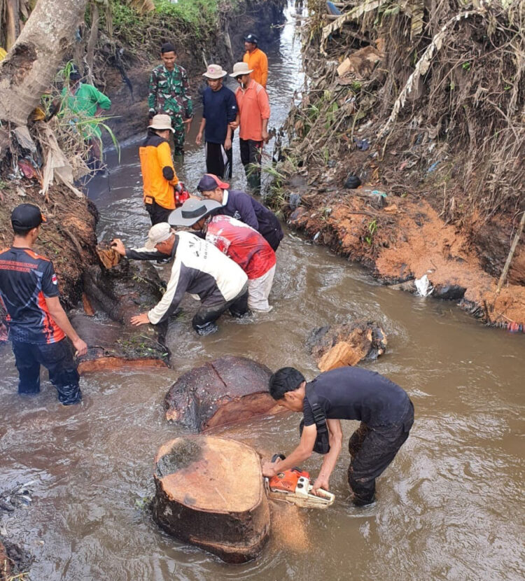 BERSIHKAN— Masyatakat dan petugas membersihkan aliran sungai Gajah Tanang yang dipenuhi bongkahan kayu.