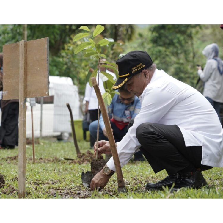 TANAM BIBIT—PT Supreme Energy Muara Laboh (PT.SEML) bekerjasama dengan Palang Merah Indonesia (PMI) Solok Selatan, Unit Transfusi Darah (UTD) RSUD Solsel, serta Pondok Pesantren (Ponpes) Yayasan Nurul Wakil As-Shaleh, Pekonina, menggelar aksi sosial donor darah dan penanaman bibit pohon.