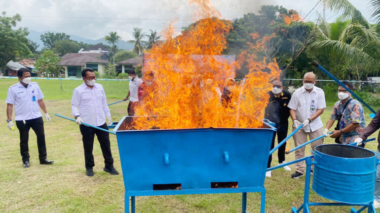 MUSNAHKAN— Kepala BNNP Sumbar, Brigjen Pol Ricky Yanuarfi bersama instansi terkait membakar 141 Kg daun ganja kering hasil penangkapan.