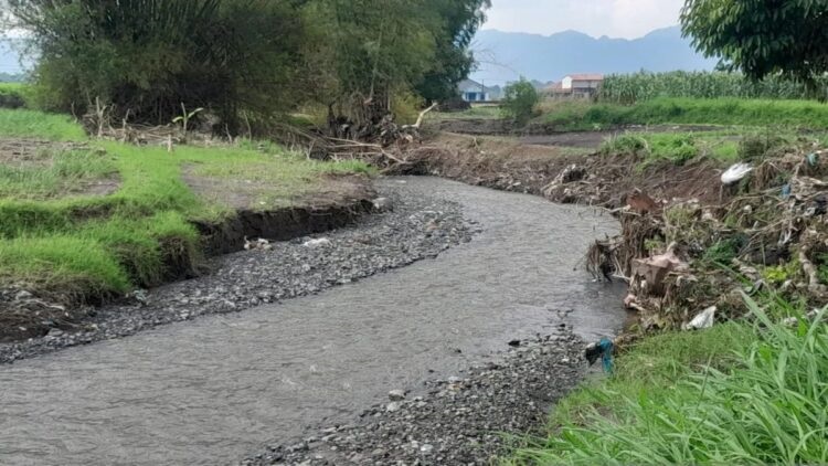 PENDANGKALAN--Sungai Batang Aia Katiak di Desa Cangkiang, Kabupaten Agam alami pendangkalan pasca banjir lahar dingin Gunung Marapi.