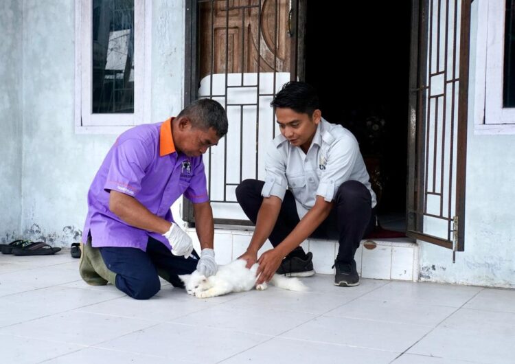 VAKSIN—Terlihat petyga dari Dinas Pangan dan Pertanian (Dispangtan) menuntaskan pelaksanaan vaksinasi rabies gratis di 16 kelurahan, dengan total 702 Hewan Penularan Rabies (HPR).