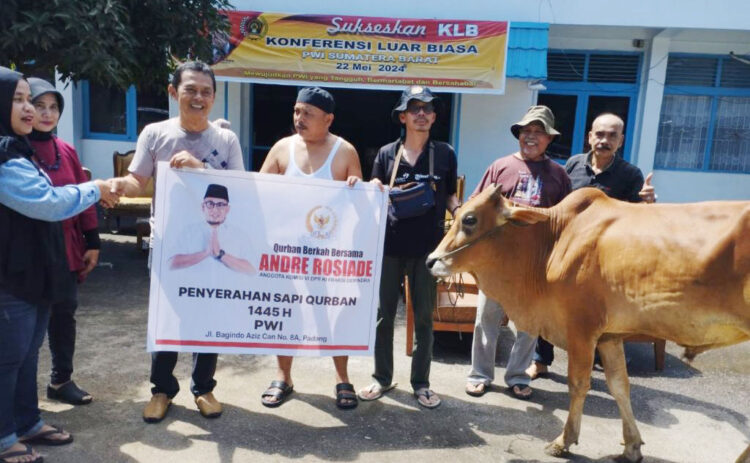 SALURKAN SAPI KURBAN— Ketua DPD Partai Gerindra Sumbar H Andre Rosiade, menyalurkan hewan kurban sebanyak 73 ekor untuk tahun ini. Sapi kurban berkualitas disebar di semua kabupaten dan kota, termasuk di Kabupaten Kepulauan Mentawai.