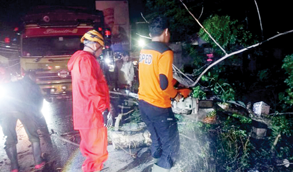 PEMOTONGAN POHON— Petugas dari Tim Reaksi Cepat (TRC) BPBD Kota Padang memotong pohon yang tumbang di kawasan jembatan baru Kuranji, Kecamatan Kuranji, pada Kamis (20/6) malam.