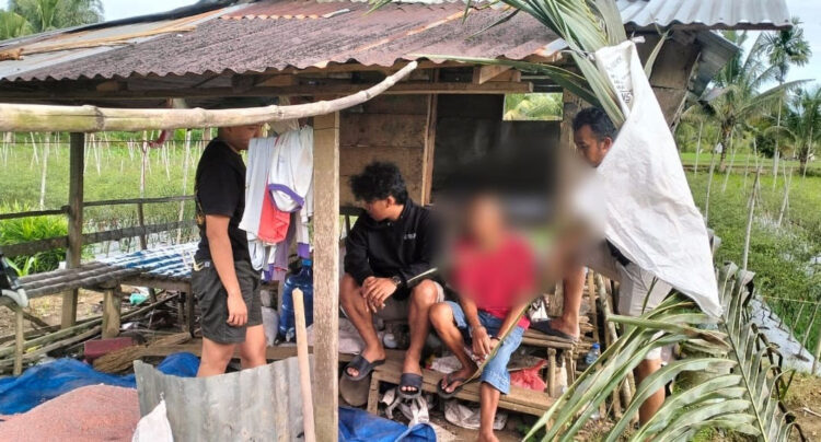 GANJA— Pengedar ganja berinisial HA ditangkap jajaran Satresnarkoba Polres Agam di pondok kebun cabai
di Nagari Kampung Tangah, Kecamatan Lubuk Basung.