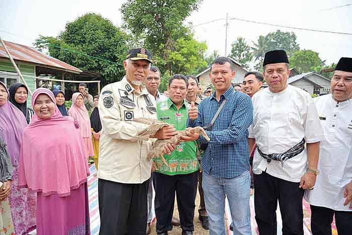 SERAHKAN BANTUAN ITIK— Gubernur Sumbar, Mahyeldi Ansharullah didampingi Kepala Dinas Peternakan dan Kesehatan Hewan Sumbar, Sukarli menyerahkan bantuan itik kepala peternak itik bertelur kelompok
Cahaya Biru di Kabupaten Limapuluh Kota beberapa waktu lalu.