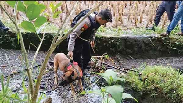 ANJING PELACAK— Polisi mengerahkan anjing pelacak untuk mencari barang bukti dan barang-barang milik korban.