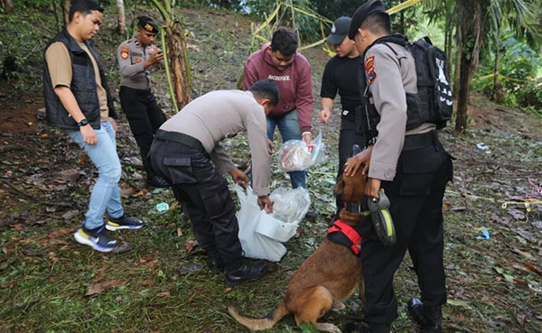 BURU PELAKU— Tim gabungan Polda Sumbar dan Polres Padangpariaman melakukan perbururuan terhadap pelaku
pembunuhan gadis cantik penjual gorengan keliling.