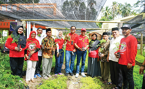 PANEN PERDANA— Direktur Utama PT Semen Padang, Indrieffouny Indra, melakukan panen perdana bibit kaliandra di nursery Hutan Kemasyarakatan (HKm) Sialangan, Korong Pasa Padang Alai, Nagari Gunuang Padang Alai, Kecamatan V Koto Timur, Kabupaten Padangppariaman, Jumat (25/10).