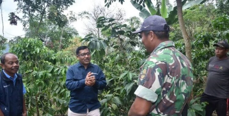 SURVEI— General Manager PTBA Ombilin Yulfaizon survei kondisi perkebunan kopi yang sedang dirintis personel Kodim 0310 Sawahlunto Sijunjung bersama Kelompok Tani Muda Berkarya Kayu Gadang Desa Santur Sawahlunto, baru-baru ini.