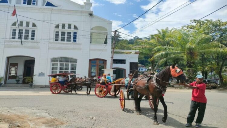 WISATA BERKUDA— Dinas Pariwisata Kota Padang memperkenalkan nuansa baru bagi wisatawan yang berkunjung ke kawasan Kota Tua, dengan menaiki kuda, sambil menikmati keindahan gedung-gedung peninggalan kolonial Belanda.