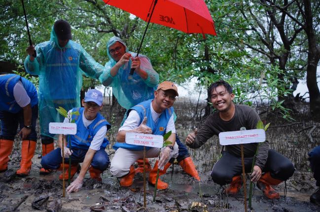 Selalu Ikut Andil Dalam Event Tahunan “Hari Menanam Pohon Indonesia”, Pln Bangun Ketahanan Pesisir Bengkalis Dengan 6.000 Mangrove