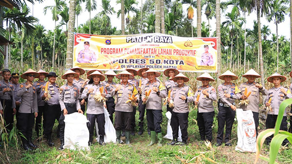 PANEN JAGUNG— Kapolres Limapuluh Kota beserta jajaran ikut panen jagung dalam upaya mewujudkan ketahanan pangan nasional.