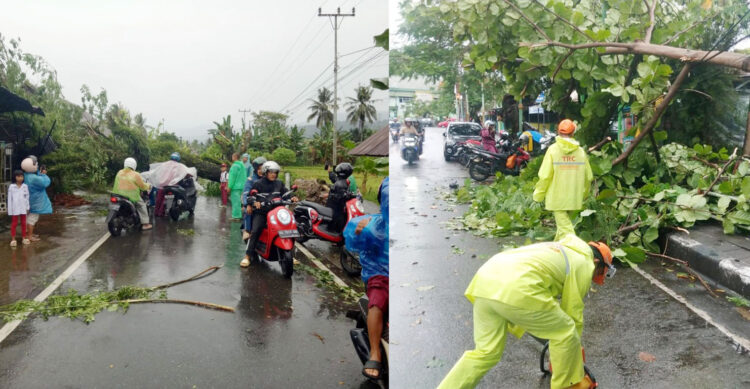 EVAKUASI POHON TUMBANG— Petugas BPBD bekerja sama dengan instansi terkait seperti PLN dan Dinas Lingkungan Hidup untuk menangani pohon tumbang serta memulihkan fasilitas umum yang terdampak, Senin (2/12) pagi.