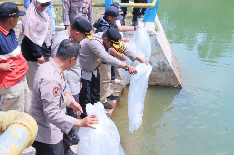 PELEPASAN BIBIT IKAN— Kapolres Payakumbuh AKBP Ricky Ricardo didampingi Wakapolres Kompol Russirwan, melepas ribuan bibit ikan implementasi program Asta Cita Presiden Prabowo.