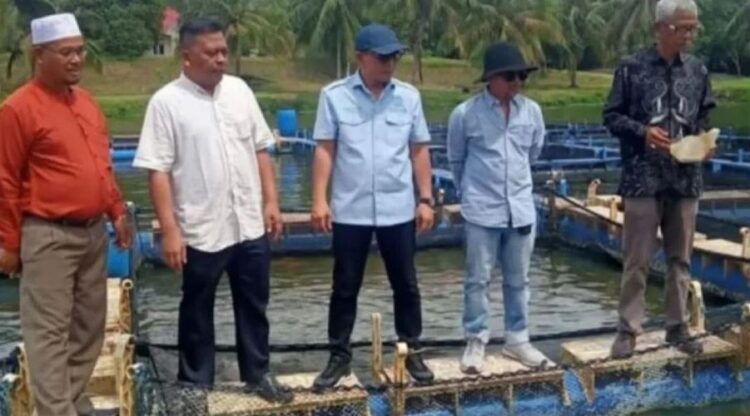 TINJAU—Dinas Pertanian Kota Solok saat meninjau tempat pemeliharaan bibit ikan warga.