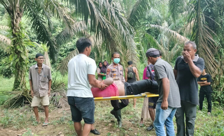 TEWAS— Polisi melakukan olah TKP dan mengevakuasi jenazah pemotor yang tewas
di bawah jembatan di Nagari Durian Gadang, Kecamatan Sijunjung.