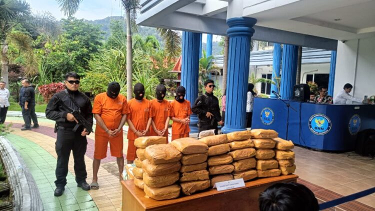 GANJA— Empat pengedar 50 Kg ganja yang dibawa dari Sumut, ditangkap Tim BNNP Sumbar.