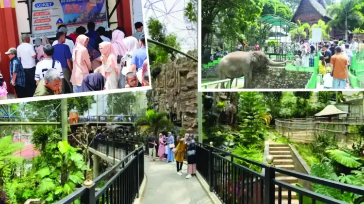 OBJEK WISATA— Kebun Binatang atau Taman Marga Satwa dan Budaya (TMSBK) Kinantan ramai dikunjungi wisatawan saat libur Idul Fitri.
Objek wisata utama Kota Bukittinggi, ini tetap menjadi pilihan utama saat lebaran.