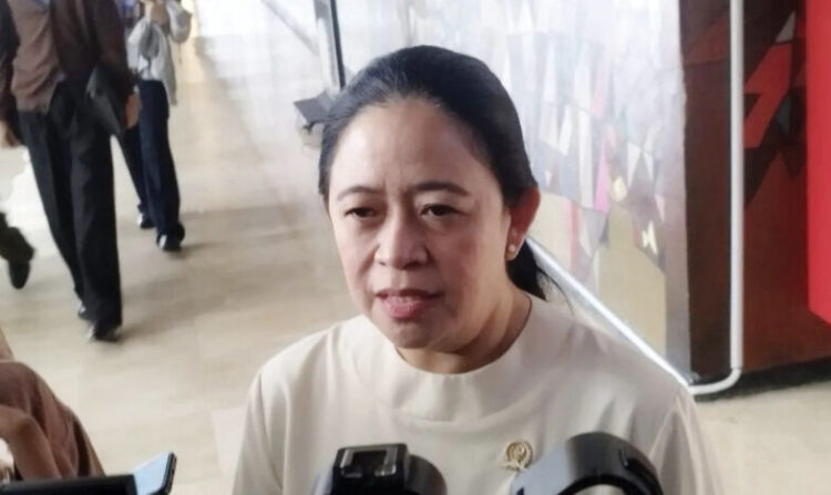 Ketua DPR RI Puan Maharani