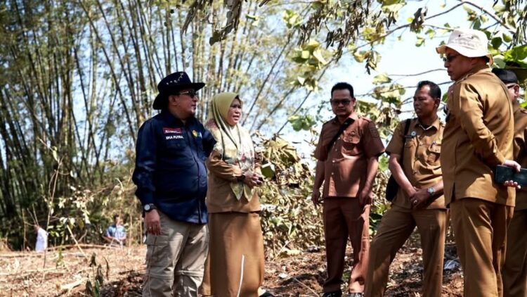 LOKASI SEKOLAH RAKYAT— Bupati Tanahdatar Eka Putra bersama jajaran melakukan peninjauan lokasi Sekolah Rakyat.