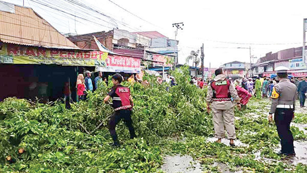 Angin Puting Beliung Terjang Kota Solok, Atap Rumah Berterbangan, 132 Jiwa Terdampak 1 PEMBERSIHAN— Petugas gabungan melakukan pembersihan pohon
tumbang yang terjadi di Kota Solok akibat angin puting beliung.