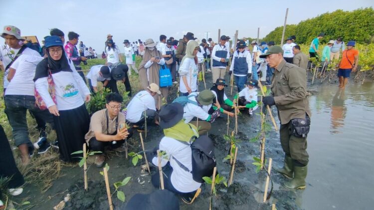 Bersama Warga, PLN Rehabilitasi Mangrove Lindungi Pesisir Utara Jateng dari Banjir Rob 1 34