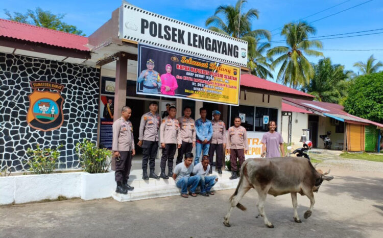 CURI SAPI— Dua pelaku pencuri sapi ditangkap personel Polsek Lengayang, Kabupaten Pessel.