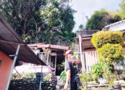 Warga Diminta Tetap Waspadai Angin Kencang Disertai Badai, Beringin Besar Tumbang, 3 Rumah Rusak