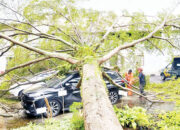 Bencana Hidrometeorologi Meluas di Padang, Pohon Tumbang Timpa Mobil, Ribuan Warga Terdampak