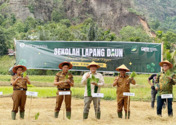 Sekolah Lapang “DAUN” Bank Indonesia, Tingkatkan Produktivitas Padi di Sumbar dengan Metode MTOT