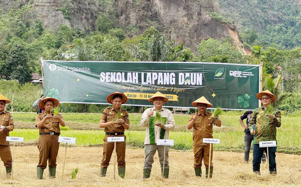 Sekolah Lapang “DAUN” Bank Indonesia, Tingkatkan Produktivitas Padi di Sumbar dengan Metode MTOT