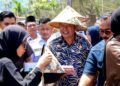 Petani Pasaman sudah Terakomodir, Bupati Welly Suhery Pastikan Ketersediaan dan HET Pupuk Bersubsidi untuk Petani 7 Petani Pasaman sudah Terakomodir, Bupati Welly Suhery Pastikan Ketersediaan dan HET Pupuk Bersubsidi untuk Petani