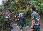 Bukit Peti-Peti Longsor, Prajurit Kodaeral II Gerak Cepat