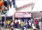 Sempat Membuat Heboh, 2 Janin di Kos-kosan Putri Ternyata Janin Hewan