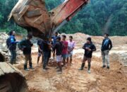 Penggerebekan Tambang Emas Ilegal di Sijunjung, 7 Pelaku Ditangkap, 2 Alat Berat Disita, Modusnya Beroperasi Malam Hari