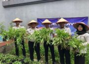 Lapas Tanjung Pati Gelar Panen Raya Serentak